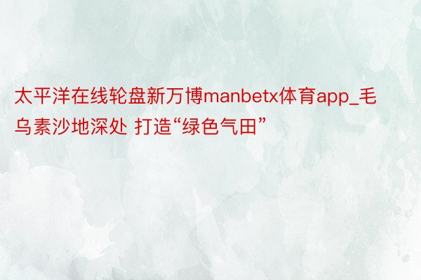 太平洋在线轮盘新万博manbetx体育app_毛乌素沙地深处 打造“绿色气田”