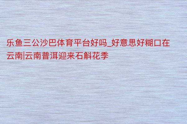 乐鱼三公沙巴体育平台好吗_好意思好糊口在云南|云南普洱迎来石斛花季