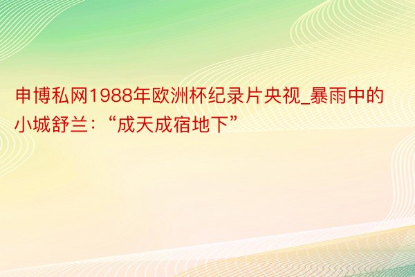 申博私网1988年欧洲杯纪录片央视_暴雨中的小城舒兰：“成天成宿地下”