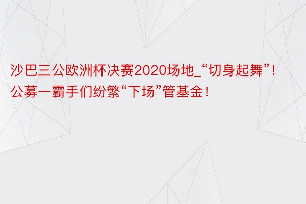 沙巴三公欧洲杯决赛2020场地_“切身起舞”！公募一霸手们纷繁“下场”管基金！