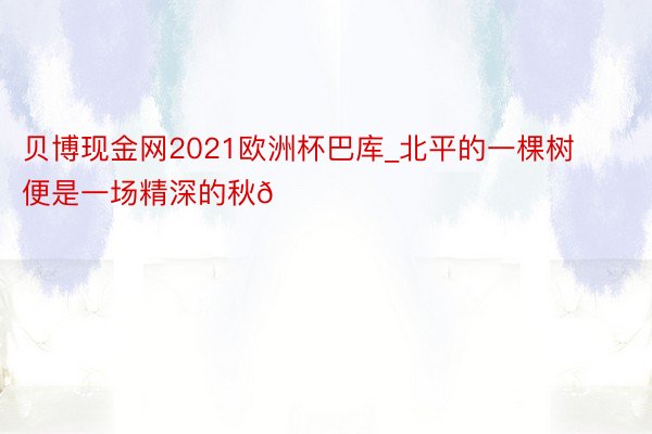 贝博现金网2021欧洲杯巴库_北平的一棵树便是一场精深的秋🍂