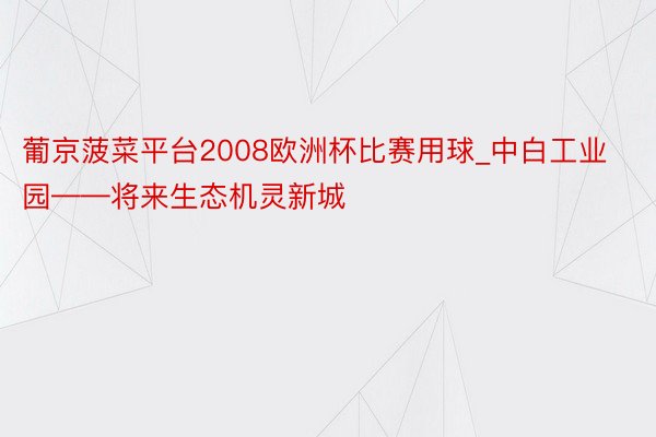 葡京菠菜平台2008欧洲杯比赛用球_中白工业园——将来生态机灵新城